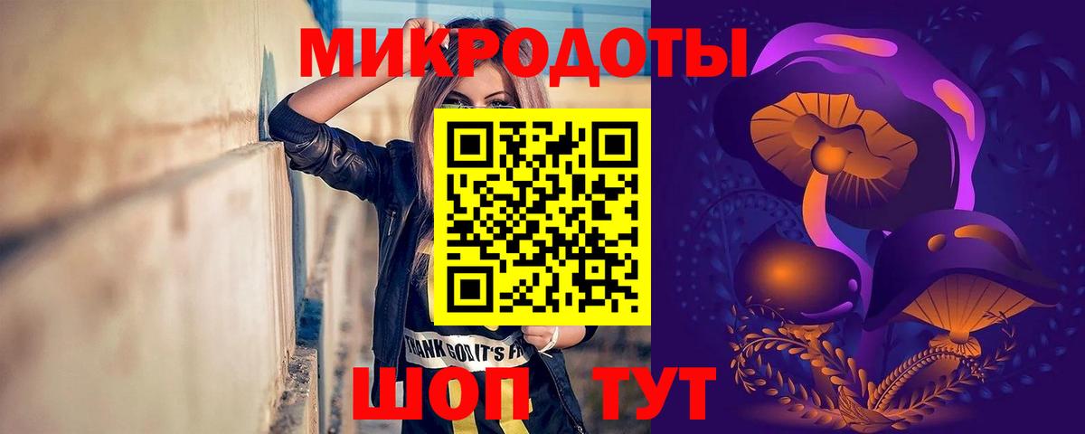 Саяногорск  Галлюциногенные грибы Psilocybe  Вход с VPN 